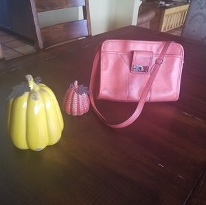 *Last Chance* Fall Purse